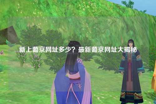 新上葡京网址多少？最新葡京网址大揭秘