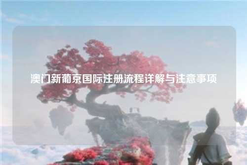 澳门新葡京国际注册流程详解与注意事项