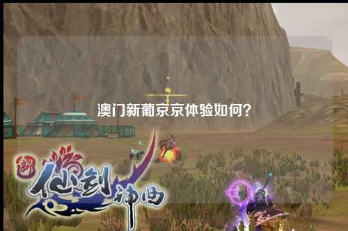 澳门新葡京京体验如何？