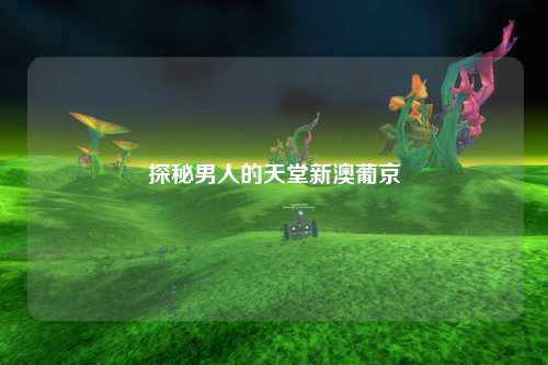 探秘男人的天堂新澳葡京