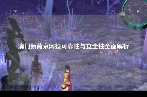 澳门新葡京网投可靠性与安全性全面解析