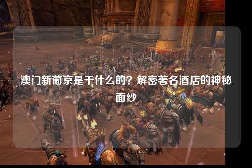 澳门新葡京是干什么的？解密著名酒店的神秘面纱