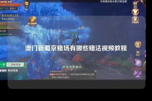 澳门新葡京赌场有哪些赌法视频教程