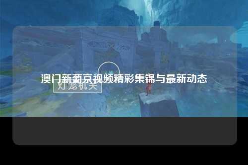 澳门新葡京视频精彩集锦与最新动态
